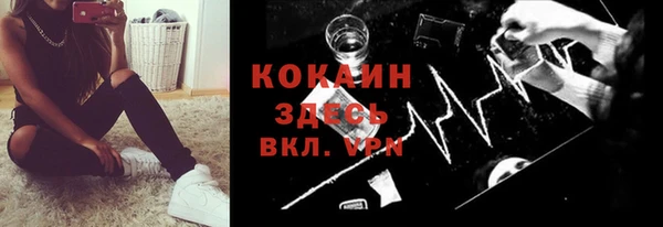 мяу мяу мука Баксан