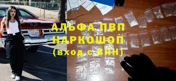 мяу мяу мука Баксан