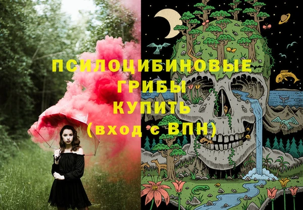 сатива Балабаново