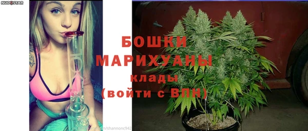 сатива Балабаново