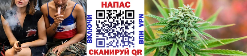 продажа наркотиков  Карпинск  Бошки Шишки SATIVA & INDICA 